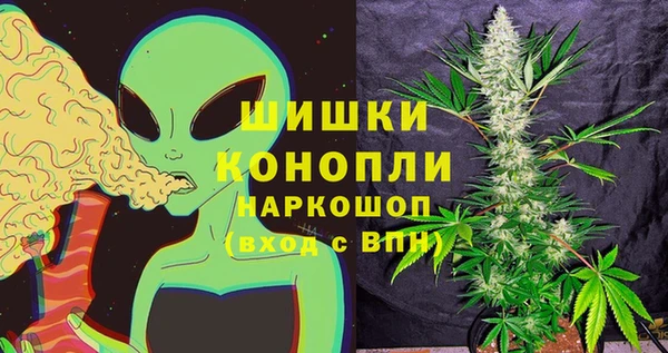 прущая мука Нея