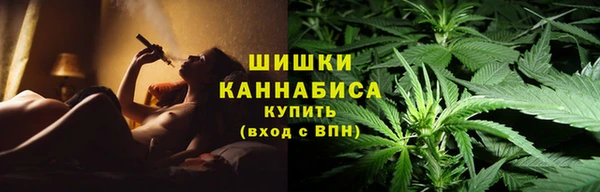 прущая мука Нея