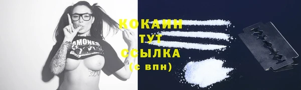 шишки Горняк