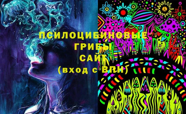 сатива Анжеро-Судженск