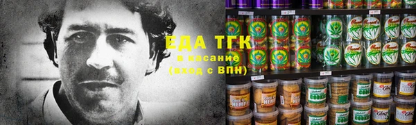 шишки Горняк