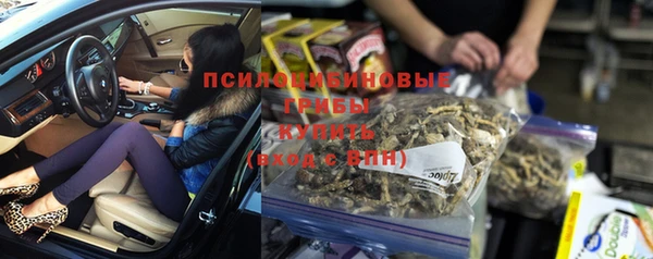 прущая мука Нея
